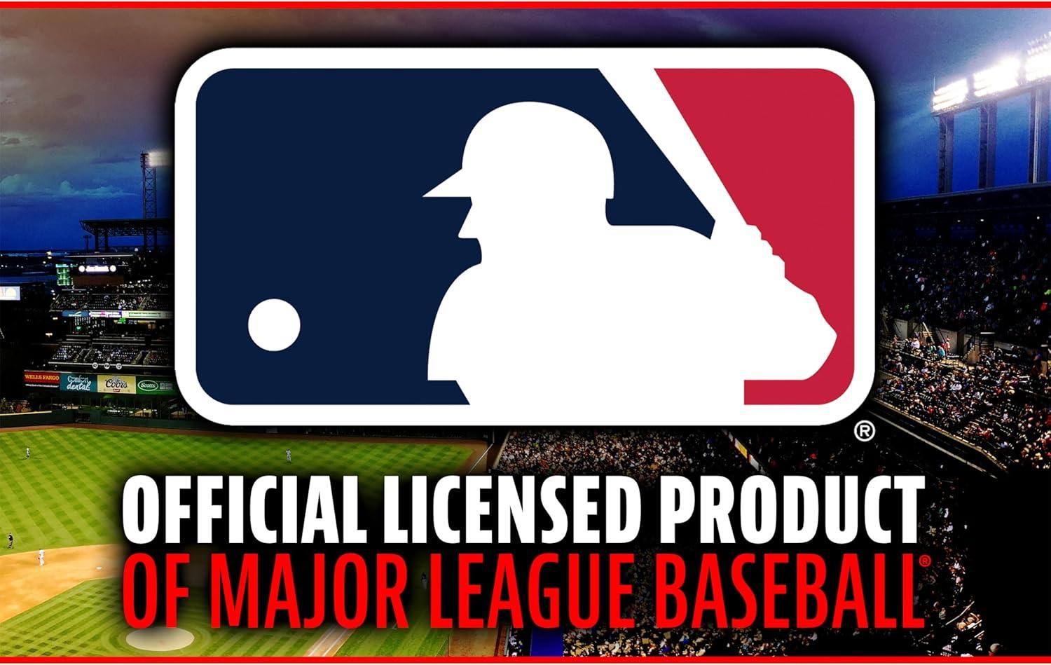 imageFranklin SportsReturn Screen and Pitching Targetblack