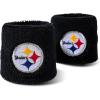 Pittsburgh Steelers
