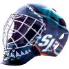 San Jose Sharks