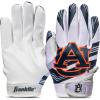 Auburn Tigers