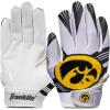 Iowa Hawkeyes