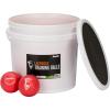 imageFranklin Sports Soft Training Lacrosse Ball Bucket  20 Kids Soft Rubber Lacrosse Balls for Indoor  Outdoor Play  Official Size Youth Lax Equipment for Kids  Beginners