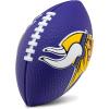 Minnesota Vikings