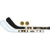 Boston Bruins