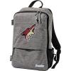 Arizona Coyotes