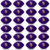 Minnesota Vikings