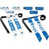 Detroit Lions