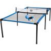 Spyder Pong Set