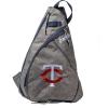 Minnesota Twins